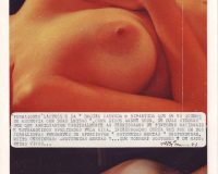 Abílio-José Santos, Simplesmente críticos, 1973 (15/22)