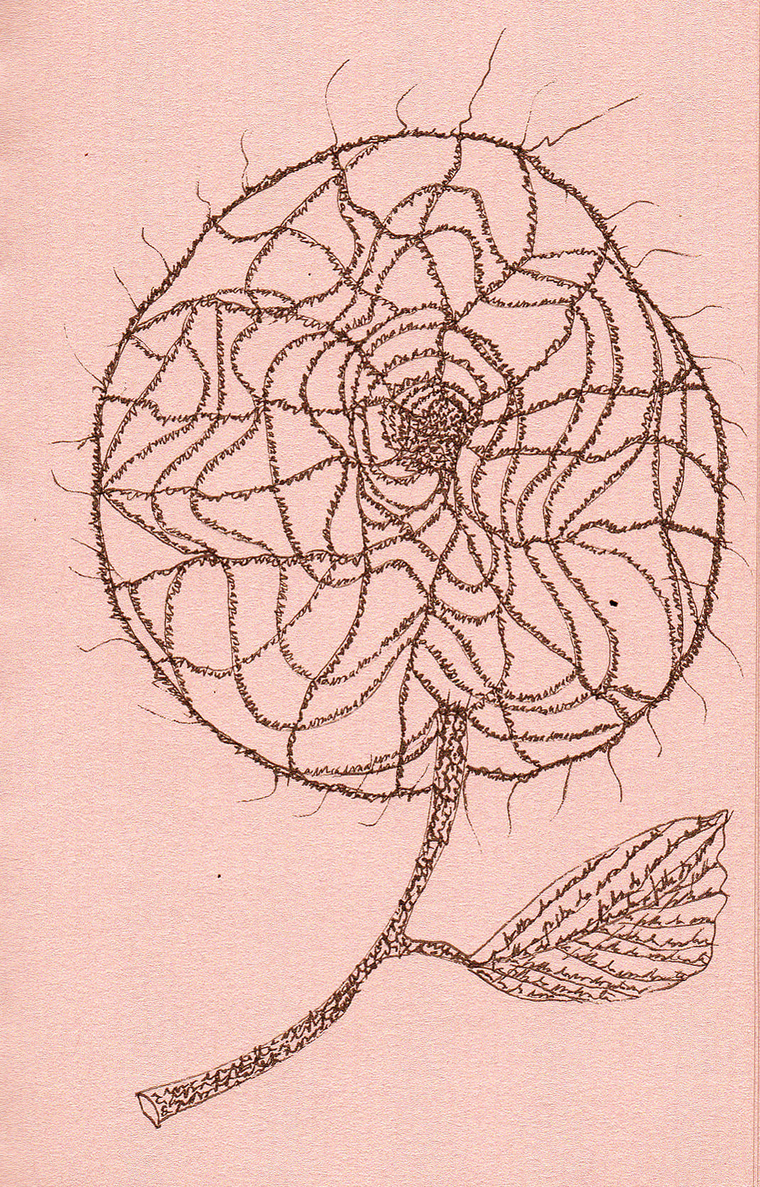 Ana Hatherly, A rosa escrita, 1996