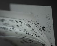Ana Mota, Broken Mold Writings, 2024 (3/7)