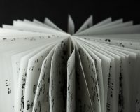 Ana Mota, Broken Mold Writings, 2024 (7/7)