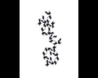 Ana Mota, Descritas, 2022 (34/52)