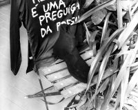 António Barros, 10 cadeiras_Todos os dedos das mãos-tÃO abertas à paisagem, 2026 (10/20)