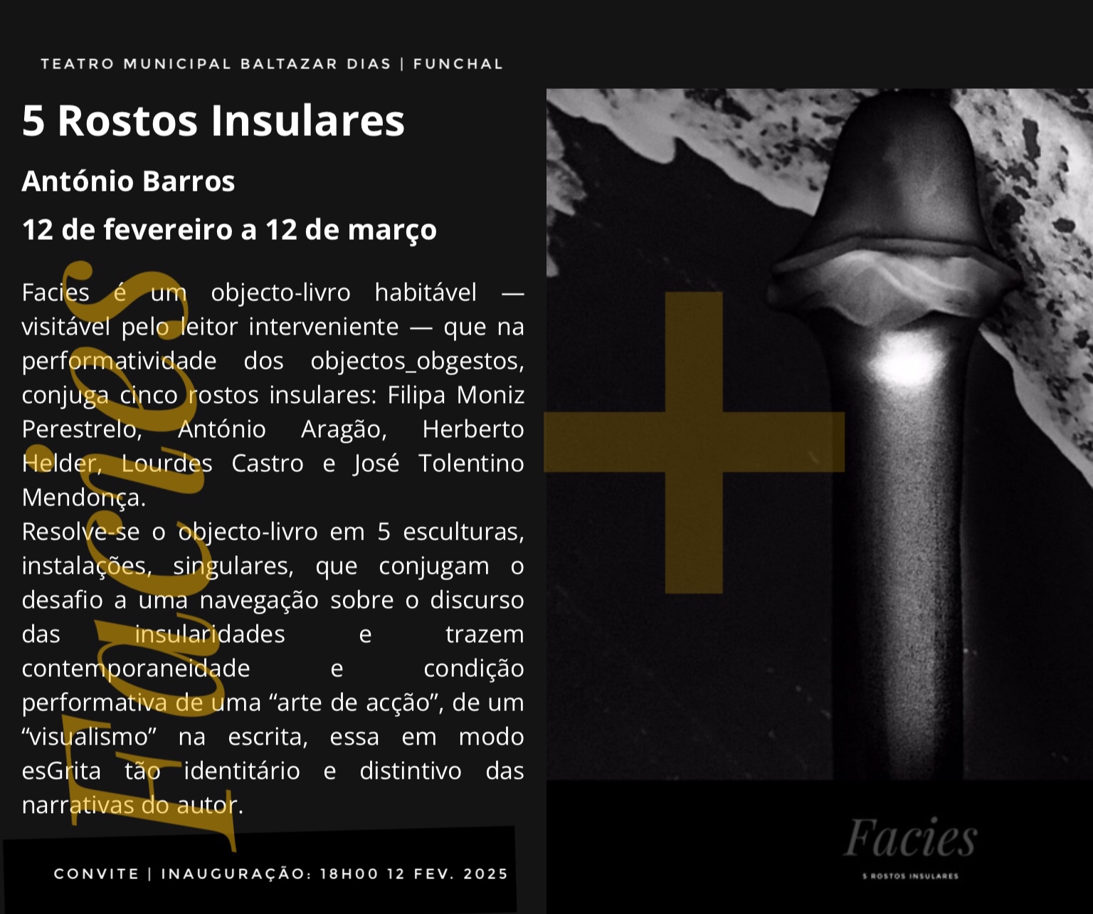 Facies - António Barros
