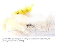 António Barros, Facies (21/42)