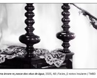 António Barros, Facies (31/42)