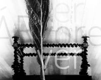 António Barros, Facies (35/42)