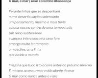 António Barros, Facies (40/42)