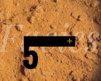 António Barros, Facies (42/42)