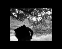 Jornadas Internacionais Poesia e Performance III: Resistência & Regeneração (9/9)