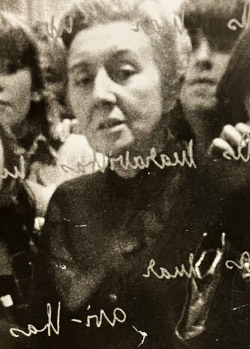 Salette Tavares