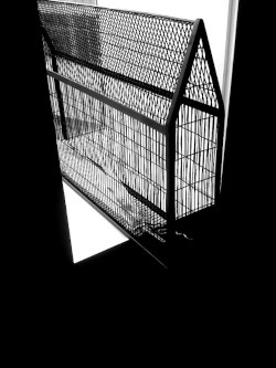 António Barros, Trilogia: Alma_Frame_Florigen
