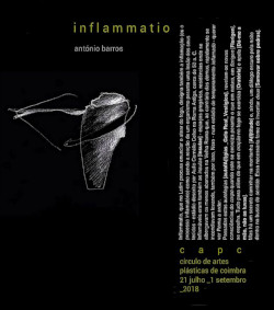 Inflammatio, de António Barros [CAPC, Coimbra, 21-07 a 1-09-2018]