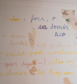 Catarina Real, A domesticidade não pertence (apenas) ao espaço da casa