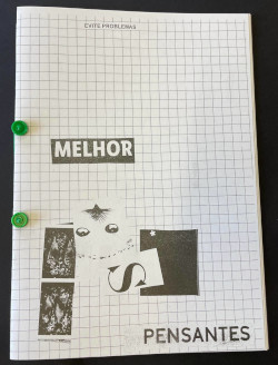 Catarina Real, Evite Problemas melhor pensantes, 2024
