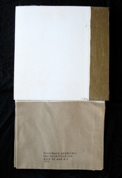 José Oliveira, Codex Thysia