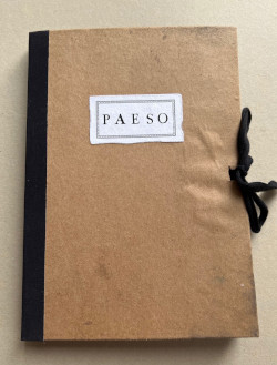 José Oliveira, Paeso