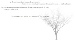 Rui Torres, Árvore