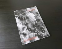 Catarina Real, Manual Fantasma, 2021 (3/6)