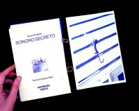 Catarina Real, Misterioso Objecto, 2024 (2/10)