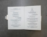 Catarina Real, Notes on ?-based language, 2017 || X-RIVISTA #3 (4/4)