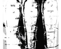 César Figueiredo, Suppose That..., 2025 (2/2)