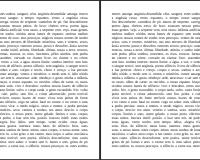 Rui Torres, Suppose That..., 2025 (2/5)