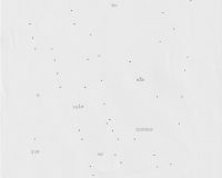 Sandra Guerreiro Dias, Suppose That..., 2025 (1/8)