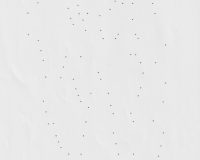 Sandra Guerreiro Dias, Suppose That..., 2025 (2/8)