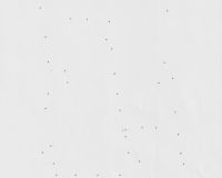 Sandra Guerreiro Dias, Suppose That..., 2025 (5/8)