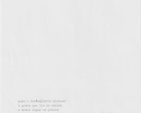 Sandra Guerreiro Dias, Suppose That..., 2025 (8/8)