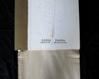 José Oliveira, Codex Thysia, 2012 (4/24)