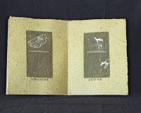 José Oliveira, Códice Alamire 1506, 2006 (6/10)