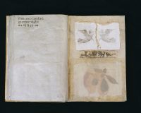 José Oliveira, Códice Panikhida, 2000 (19/21)