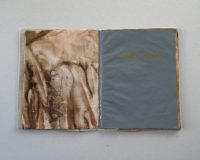 José Oliveira, Códice Thauma, 2014 (5/11)