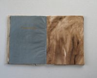 José Oliveira, Códice Thauma, 2014 (6/11)
