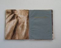 José Oliveira, Códice Thauma, 2014 (7/11)