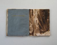 José Oliveira, Códice Thauma, 2014 (8/11)