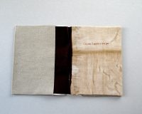 José Oliveira, Códice Thauma, 2014 (4/10)