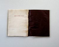 José Oliveira, Códice Thauma, 2014 (7/10)