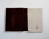 José Oliveira, Códice Thauma, 2014 (8/10)
