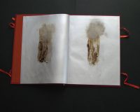 José Oliveira, De Mysteriis, 2010 (5/42)