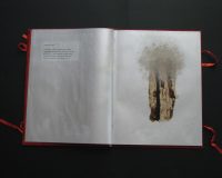 José Oliveira, De Mysteriis, 2010 (6/42)