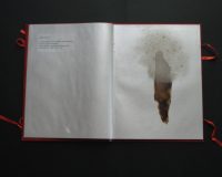 José Oliveira, De Mysteriis, 2010 (7/42)