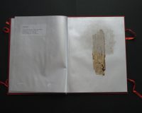 José Oliveira, De Mysteriis, 2010 (8/42)