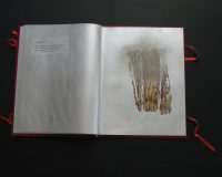 José Oliveira, De Mysteriis, 2010 (9/42)
