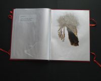 José Oliveira, De Mysteriis, 2010 (10/42)
