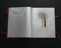 José Oliveira, De Mysteriis, 2010 (12/42)