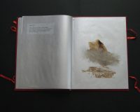José Oliveira, De Mysteriis, 2010 (13/42)
