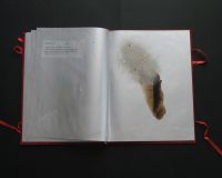 José Oliveira, De Mysteriis, 2010 (14/42)