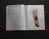 José Oliveira, De Mysteriis, 2010 (15/42)